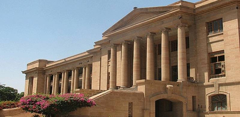 Sindh Lawyers' Welfare Bill Criticised For Lack Of Provisions For Maternity And Childcare