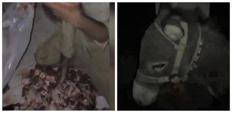Was Illegal Slaughterhouse In Karachi Selling Donkey Meat?