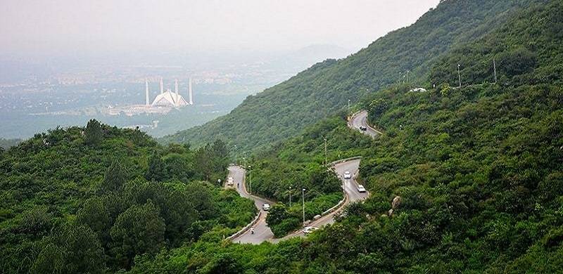 Monal Restaurant To Be Converted Into Wildlife Education Centre For Children