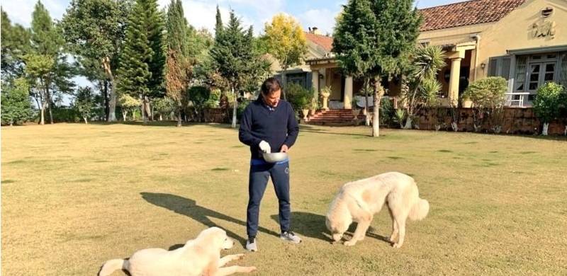 Welcome To Naya Imran Khan