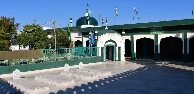 Haji Baga Sher: The White Lion
