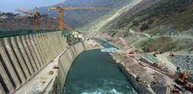 Dangerously Low Water Table Is Threatening Rare Bird Species In Mohmand Tribal District