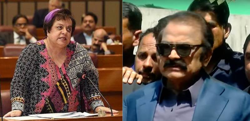 Shireen Mazari Says Rana Sanaullah Sent Special Branch Men At Her Gate
