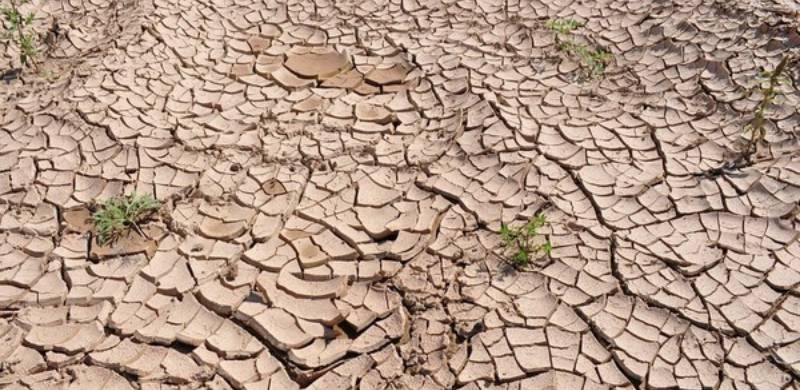 Severe Water Crisis In Pakistan: Here’s How You Can Get Involved In Relief Activities