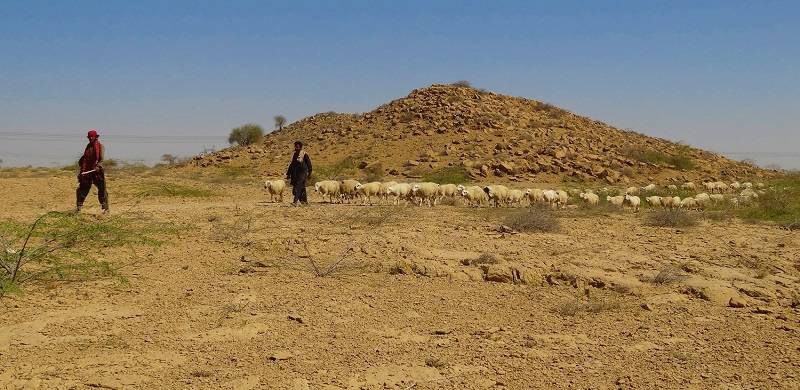 Ancient Rock Carvings Of Gadap, Karachi