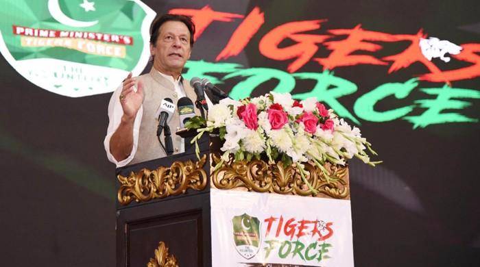 Petition Filed In SC Seeks Probe Into ‘Illegal’ Salaries Of PTI’s Tiger Force