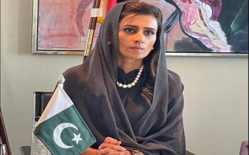 Whoever Wants To Take Credit For FATF Progress Can Do So, Says Hina Khar