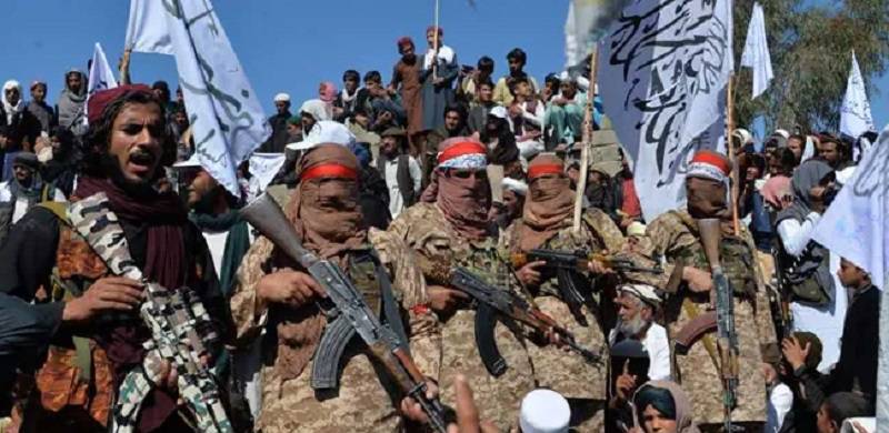 Any Talks With Pakistani Taliban To Take Place Within Constitutional Framework: Rana Sanaullah
