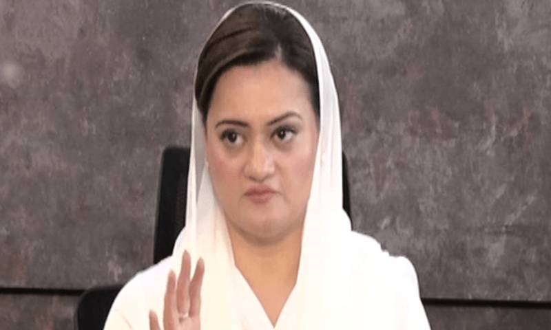 Cabinet Forms Committee To Consider Filing Treason Cases Against PTI Leaders