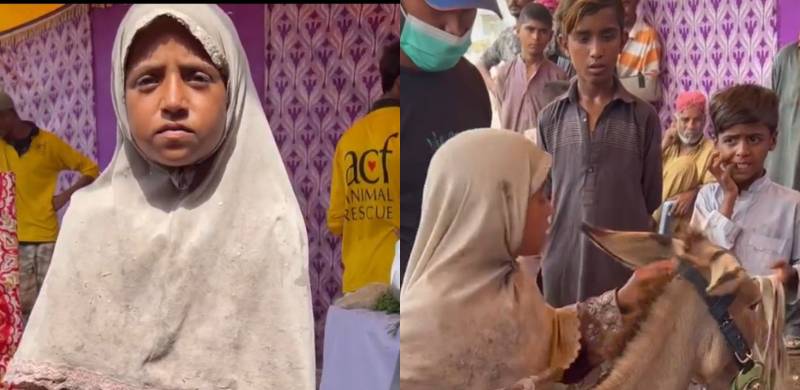 How An 8-Year-Old Girl Saved Up To Buy A Donkey Cart To Provide For Her Family