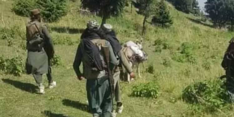 TTP Extorts 5 Lacs From Businessman In Swat