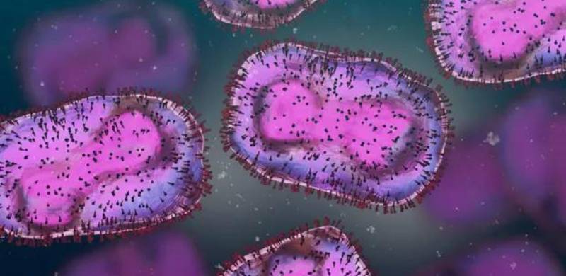 Monkeypox Declining Across Major US Cities