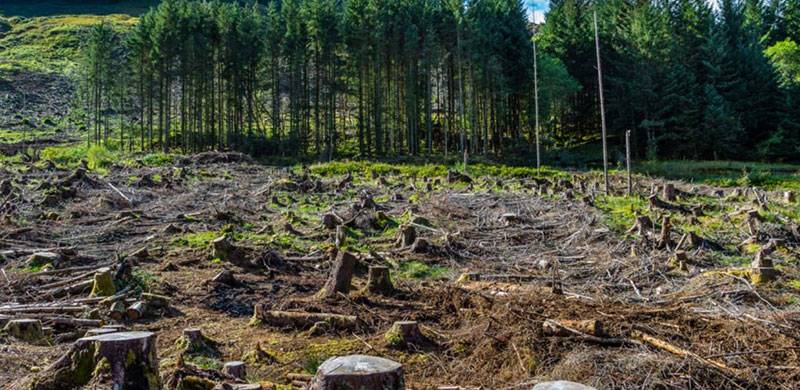 Assessing Pakistan’s Environment