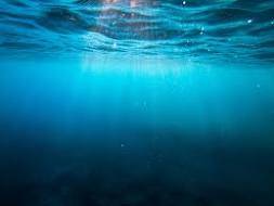 New Global Ocean Protection Treaty Endeavor Comes To Naught