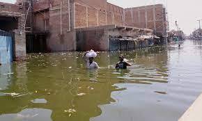Death toll: 1391, Injuries: 12722 Houses damaged: 1.7 million