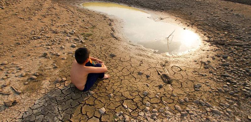 One World, One Health: The Time To Act Is Now