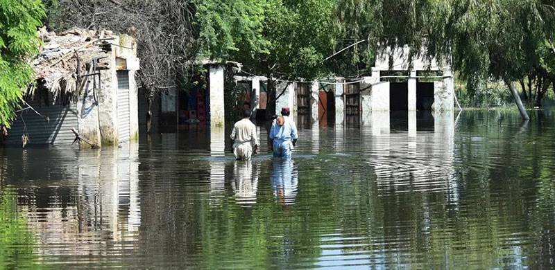 Going Forward: Pakistan’s Flood Devastation Requires An Effective National And International Response
