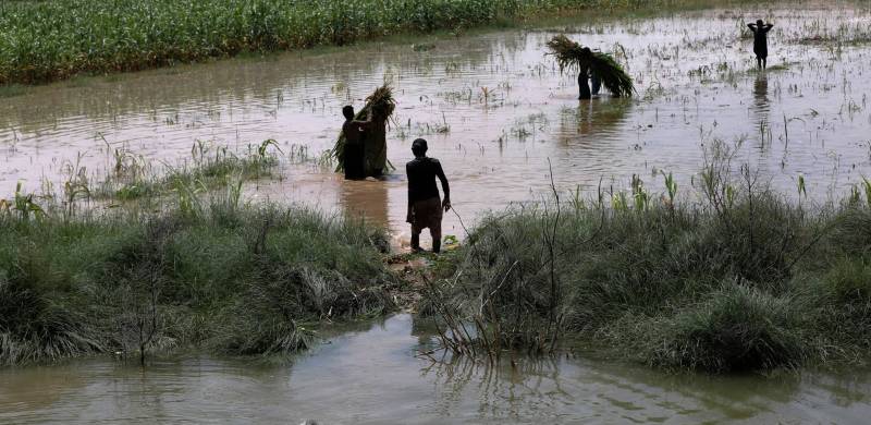 Death toll: 1569 2 million houses damaged 84 calamity hit districts
