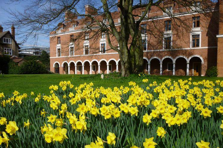 Memoir| When I Spent A Glorious Summer At Cambridge University