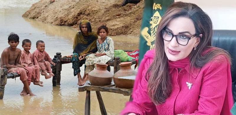 Climate Crisis: Pakistan Is In Urgent Need Of Assistance To Rebuild & Adapt, Sherry Rehman