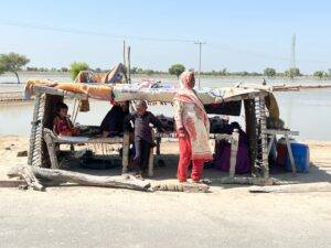 Floods in Pakistan: What Is Pakistan Without Pakistanis?