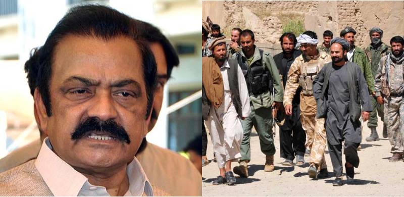 Pakistan Facing New Wave Of Terrorism: Interior Minister Rana Sanaullah