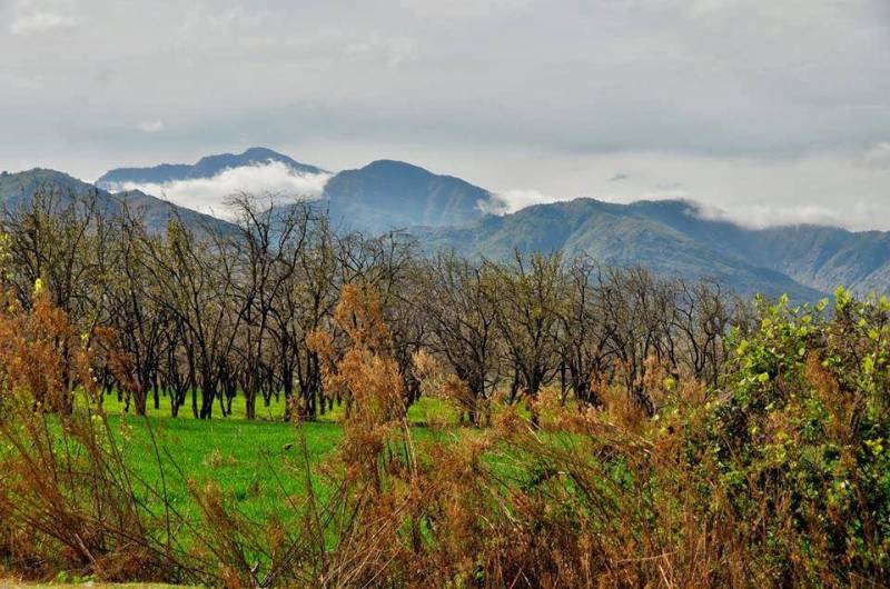 Livelihoods: Destruction Of Agriculture In Dir Region Makes It Even More Vulnerable To Climate Change