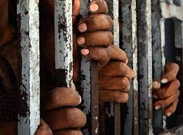 Prisons, Prisoners And Courts