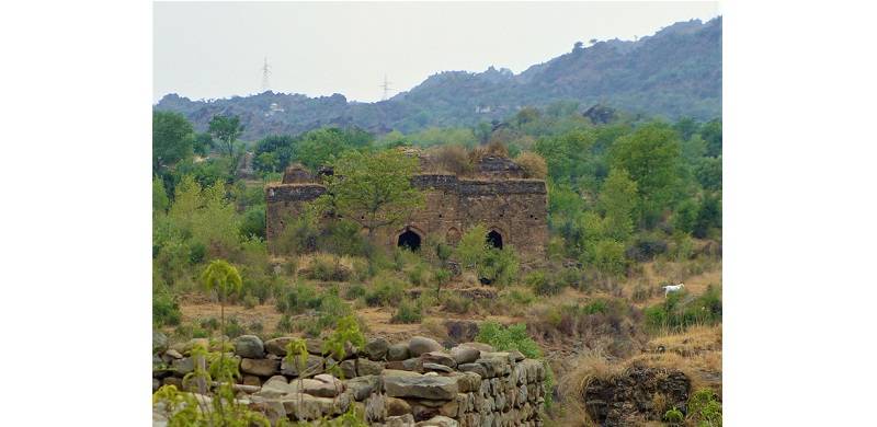 Women As Builders Of Pothohar: Historic Mai Qamro Mosque Of Islamabad