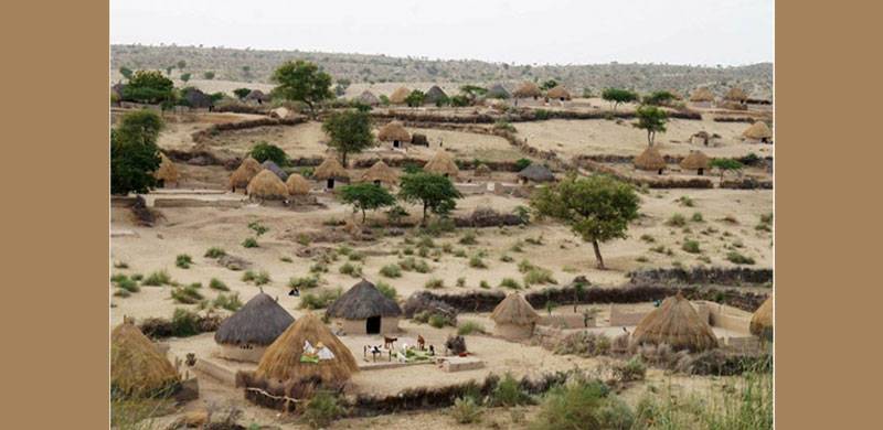 Changing Taste Of Food And Drink In Thari Traditions