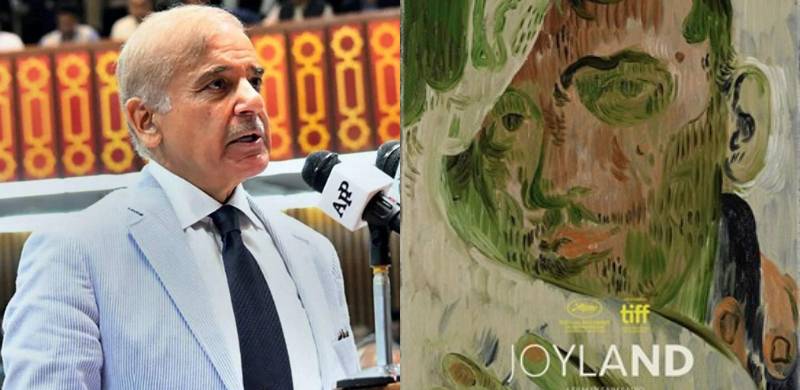 PM Shehbaz Sharif Formulates Committee To Review Joyland Complaints