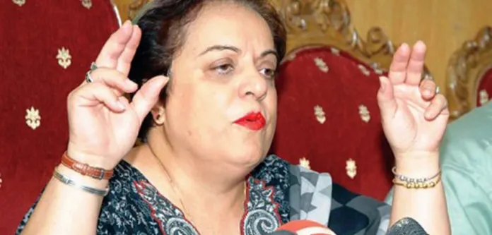 'Imported Foreign Minister' Bilawal Bhutto Trying To Threaten President Alvi: Mazari