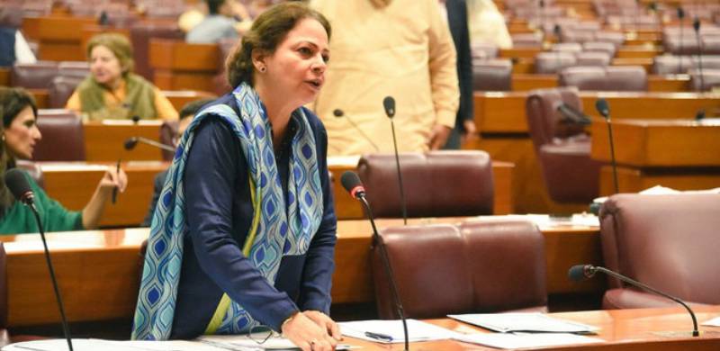 Pakistan Not At Risk Of Defaulting: Minister Of State For Finance