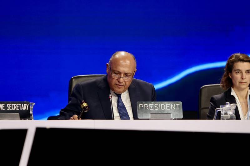 History Made At #COP27 As Parties Establish 'Loss And Damage Fund' For Developing Countries