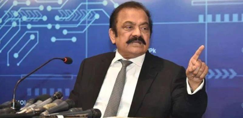 Rana Sanaullah Hints At Six-Month Delay In National Assembly Elections