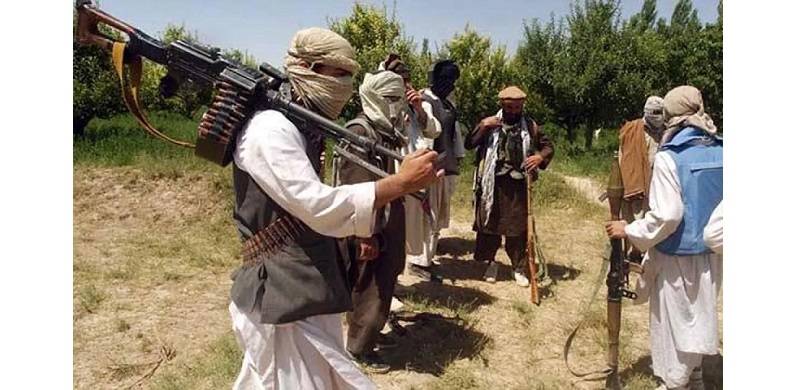TTP Cannot Be Defeated Militarily - Especially While We Give The Wrong Message Everyday