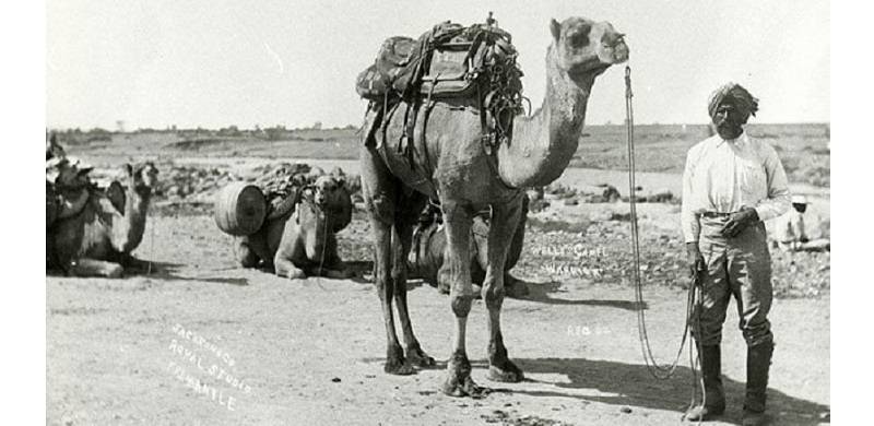 Tracing The Identities Of Baloch Cameleers In Australia