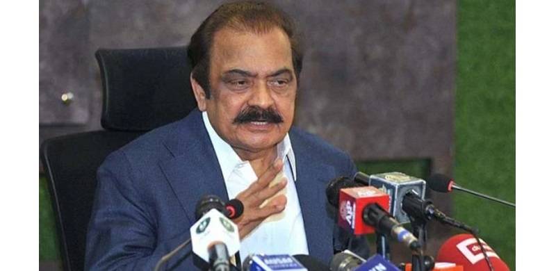 After Elahi, Hamza Will Be Made Punjab's CM: Sanaullah