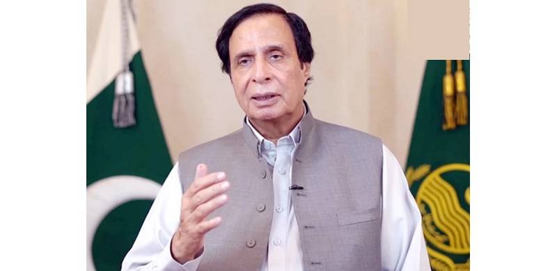 Punjab Governor Tells Parvez Elahi To Continue As CM After Dismissing Him, Cabinet In Same Order