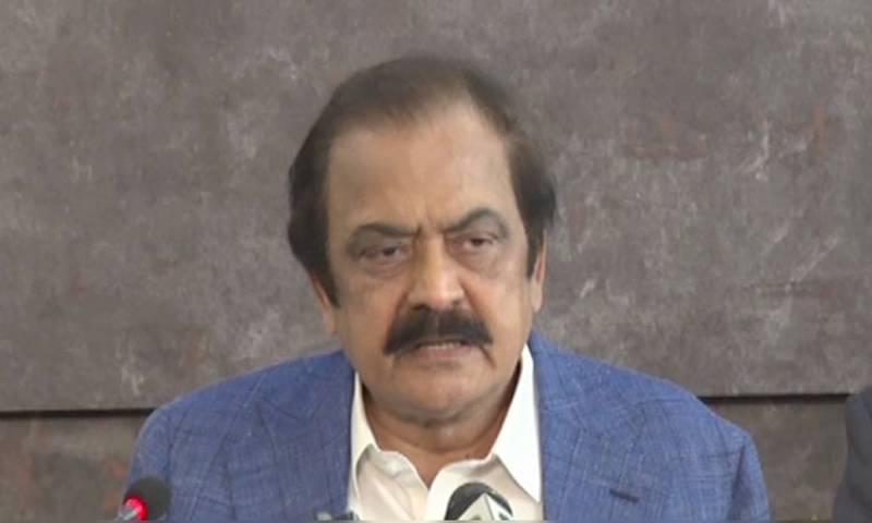 Pervez Elahi Only Got 'Interim Relief' From LHC: Rana Sanaullah