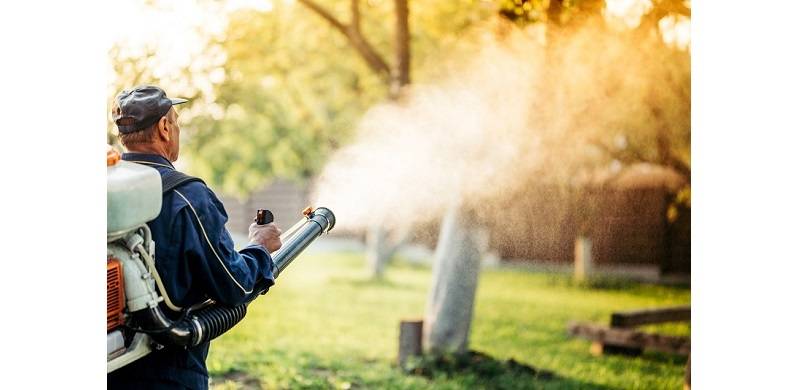 Respite: What Exactly Are The Mosquitoes Up To In Winter?