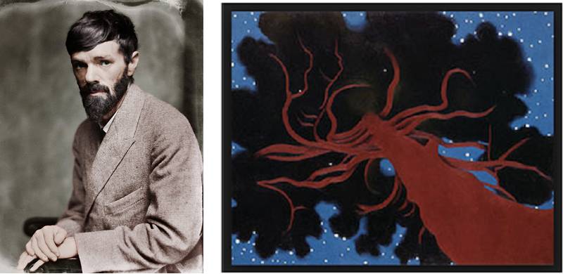 Humans And Nature: D.H. Lawrence Continues To Be Relevant To Our Concerns Today