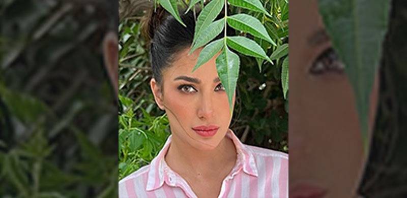 After Kubra Khan, Mehwish Hayat Approaches SHC Over 'Smear Campaign'