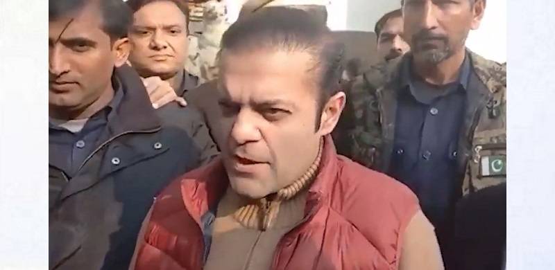 'I Meant The PTI Finance Ministers': Suleman Shehbaz Explains His 'Joker' Tweet