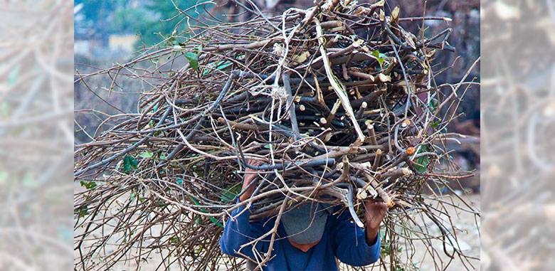 Post-Flood Demand For Firewood Piles Pressure On Pakistan’s Forests