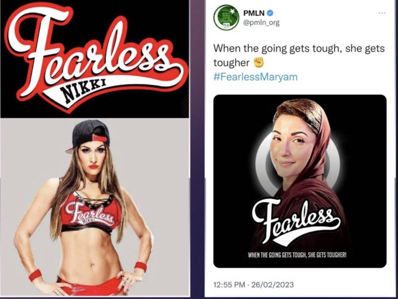 What Do Maryam Nawaz Sharif And A WWE Wrestler Have In Common? The Same Logo!