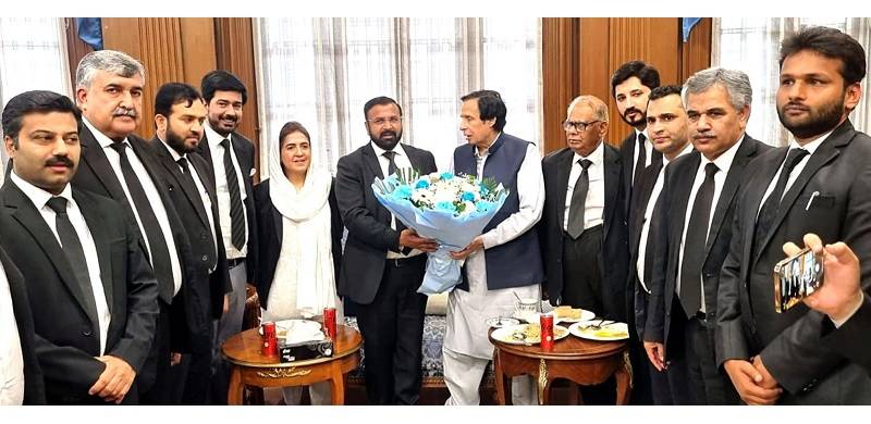 LHCBA Office Bearers Including Sabahat Rizvi Call On Parvez Elahi