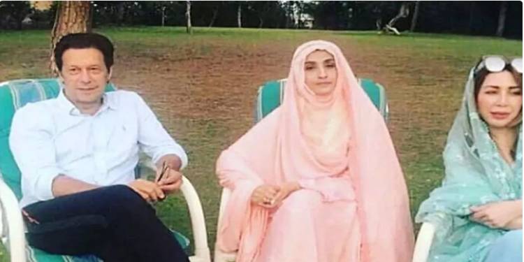 How Many Int'l Businesses Are Owned By Farah Gogi And Her Family?