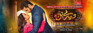 Tere Bin: Differently Scripted Drama Or The Start Of Family Friendly Romantic Drama Series In Pakistan?