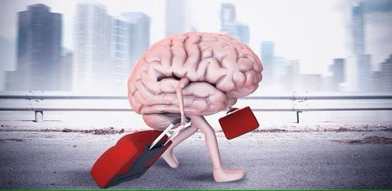 Young Pakistanis And The Brain Drain Phenomenon